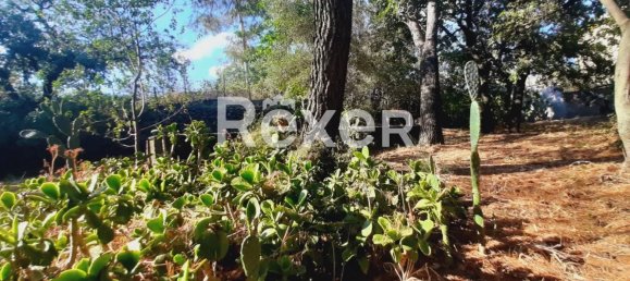 Casa de 3 divisões em Pedara, Italy N.º 318202 18