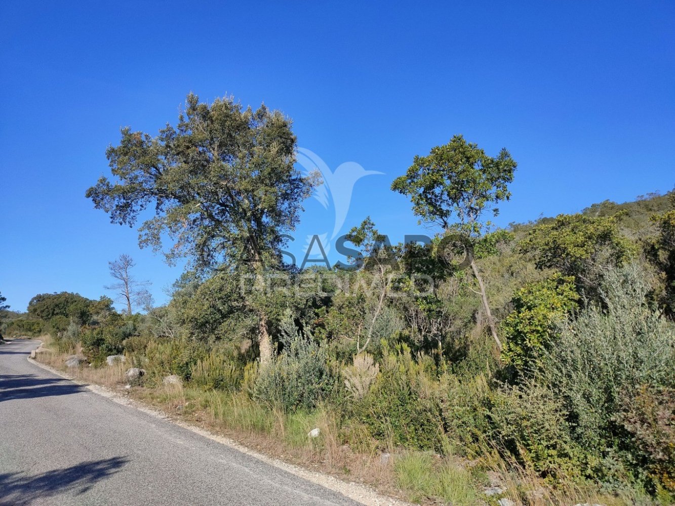  Land in Quarteira, Portugal No. 196752