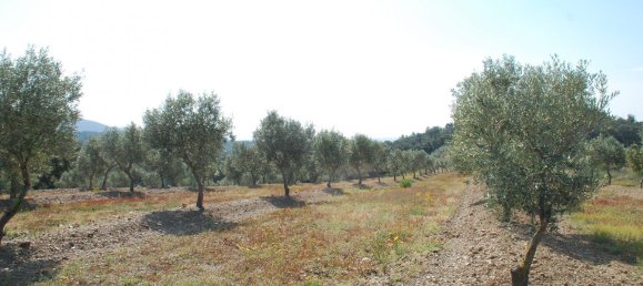  Land in Garriguella, Spain No. 73579 17