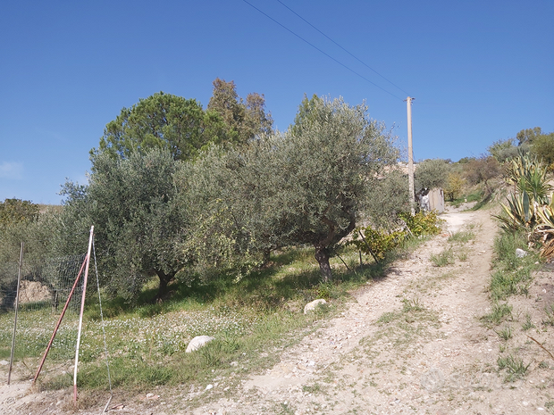 Grundstück in San Biagio Platani, Italy 20000m², Nr. 288914