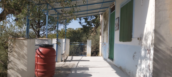 Grundstück in San Biagio Platani, Italy 20000m², Nr. 288914 4