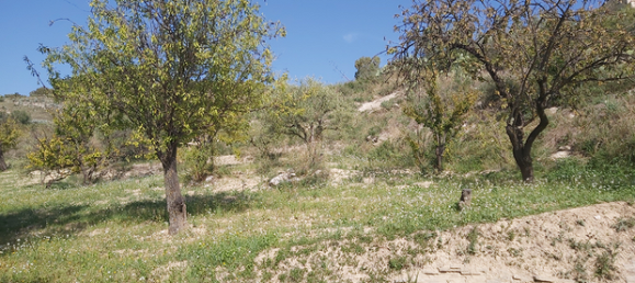 Grundstück in San Biagio Platani, Italy 20000m², Nr. 288914 3