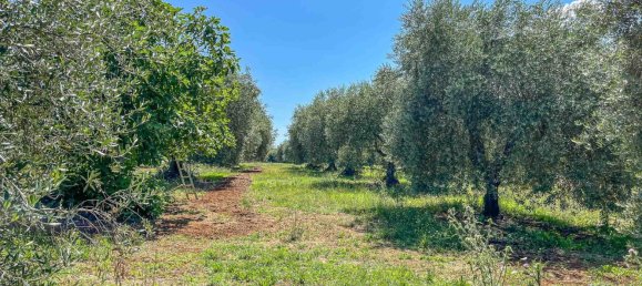 6 rooms House in Sorano, Italy No. 269902 38