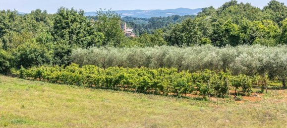 6 rooms House in Sorano, Italy No. 269902 37