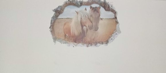 Imóvel comercial em Genoa, Italy 55 m² N.º 113554 2