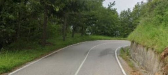 2 rooms Apartment in Falconara Albanese, Italy No. 291005 8