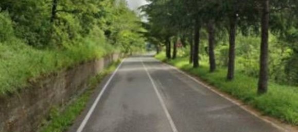 2 rooms Apartment in Falconara Albanese, Italy No. 291005 2