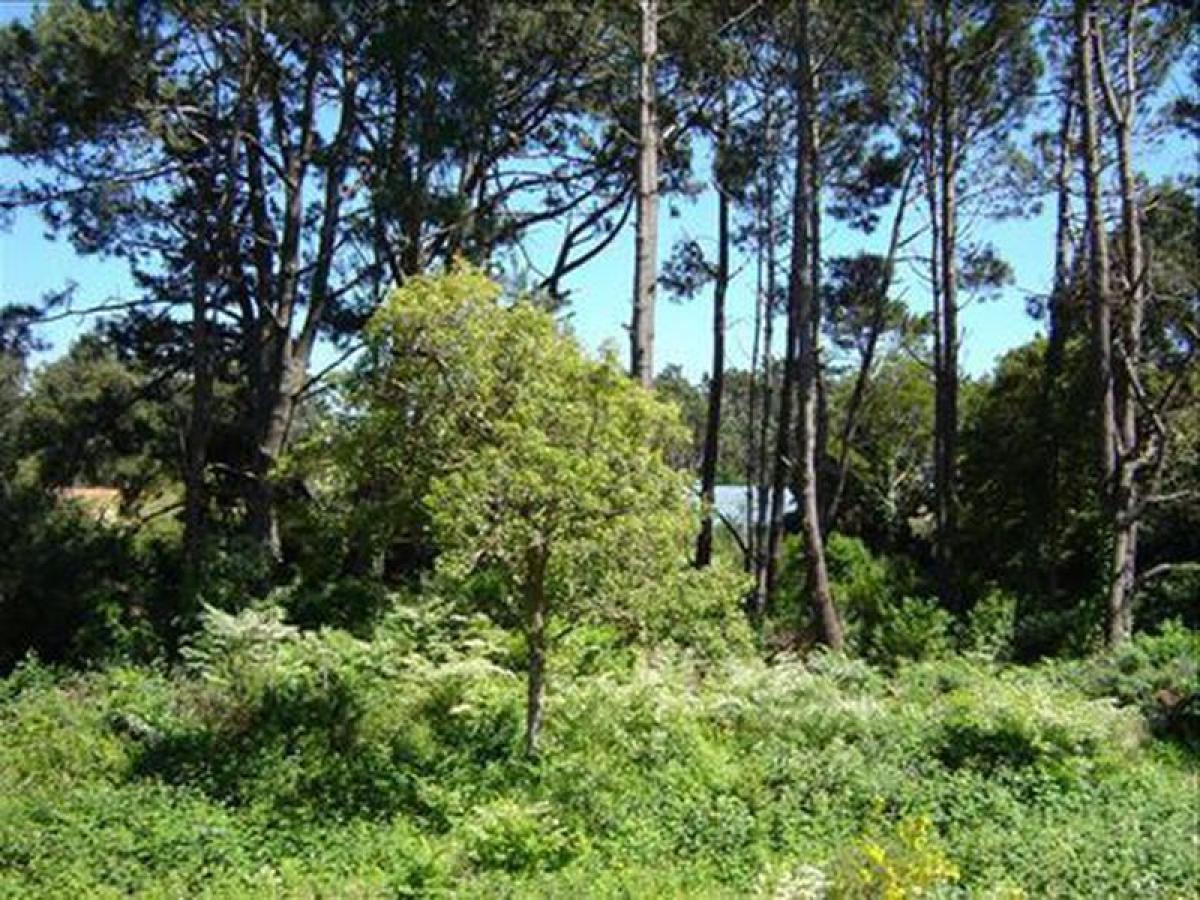  Land in Maldonado, Uruguay No. 16202