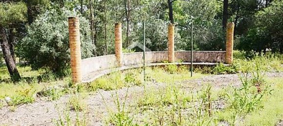 20 bedrooms House in Tramagal, Portugal No. 29955 17