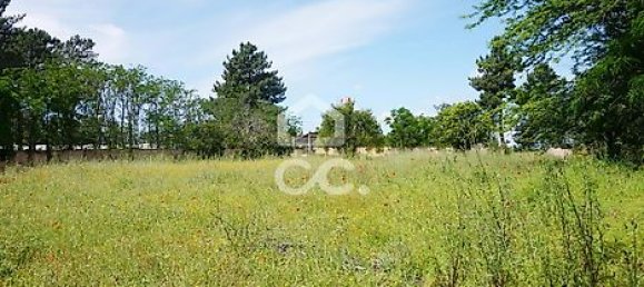 20 bedrooms House in Tramagal, Portugal No. 29955 19