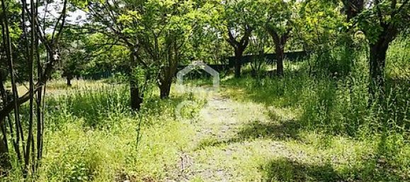 20 bedrooms House in Tramagal, Portugal No. 29955 20