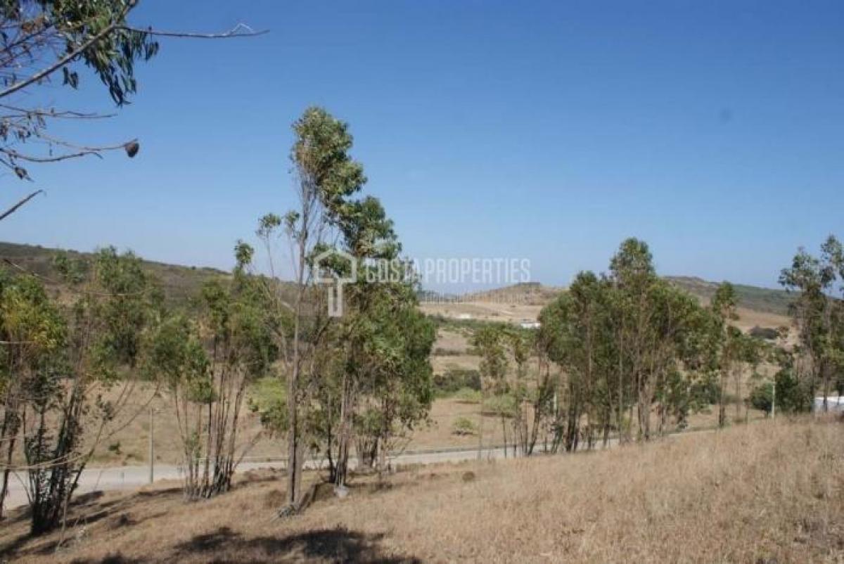 Terreno em Vila do Bispo, Portugal N.º 8679