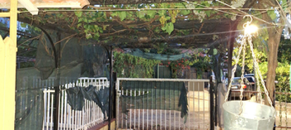 7 rooms Villa in Cassano all'Ionio, Italy No. 291217 5