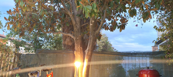 7 rooms Villa in Cassano all'Ionio, Italy No. 291217 3