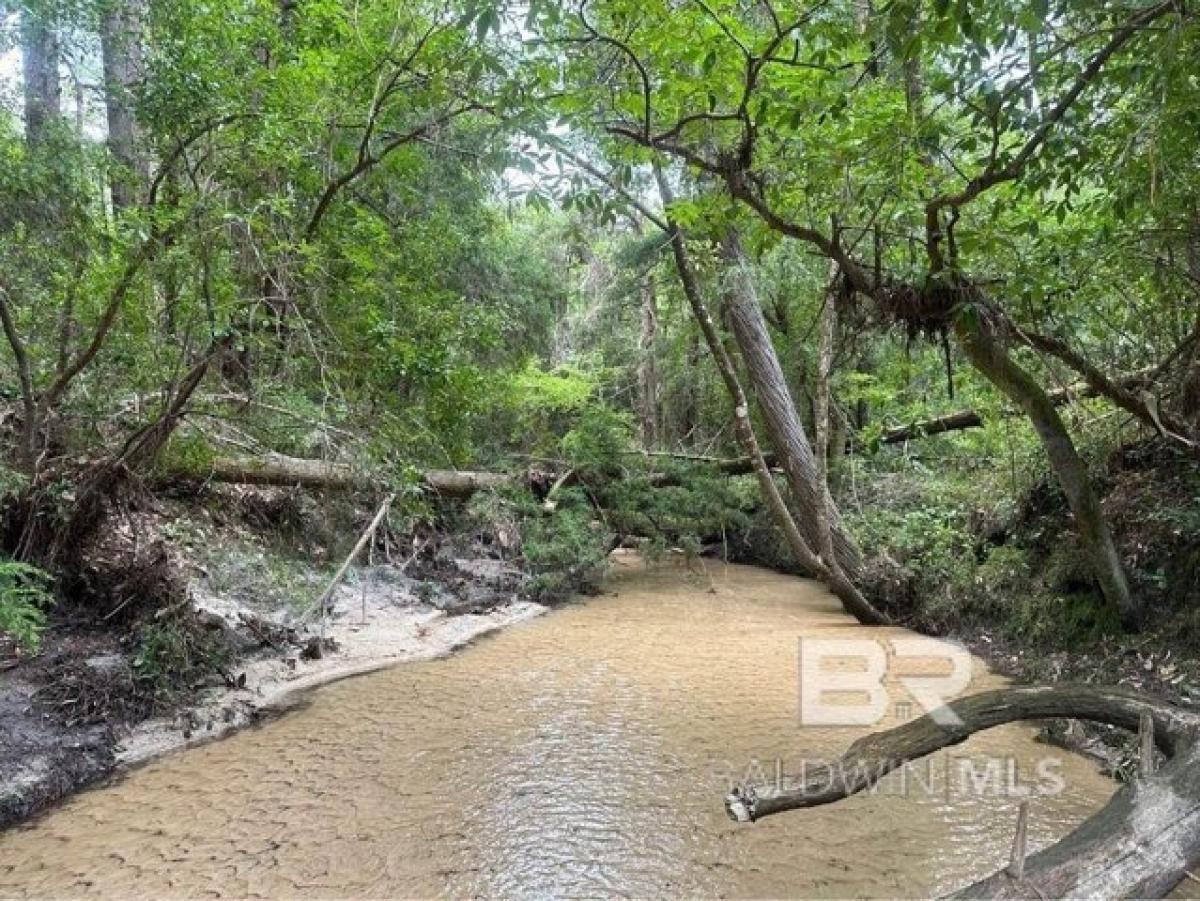  قطعة أرض في Robertsdale, USA رقم 473625