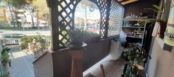 5غرفة منزل في Grosseto, Italy رقم 45133 5