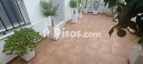 Дом с 3 спальнями в Чипиона, Испания № 166899 70