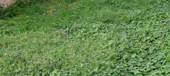 7 rooms House in Barcellona Pozzo di Gotto, Italy No. 278530 9