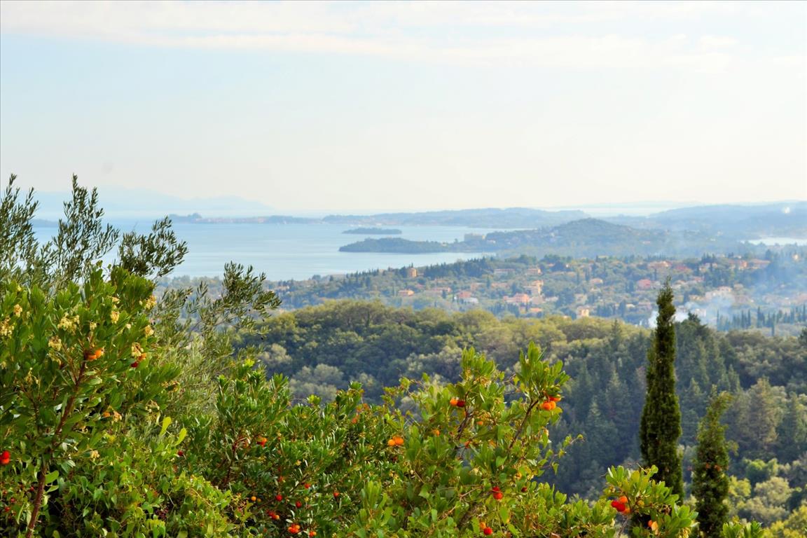  فندق في Corfu, Greece 14530متر مربع رقم 4108