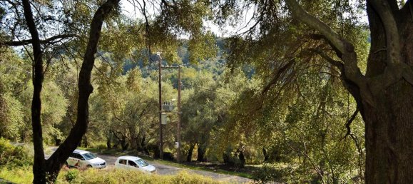 14530m² Hotel in Corfu, Greece No. 4108 10