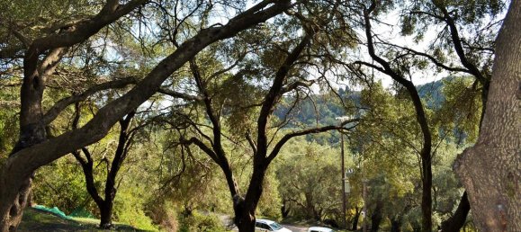 14530m² Hotel in Corfu, Greece No. 4108 5