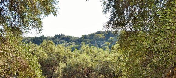  فندق في Corfu, Greece 14530متر مربع رقم 4108 11