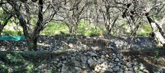 14530m² Hotel in Corfu, Greece No. 4108 15