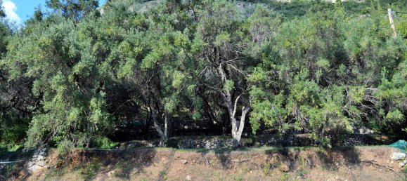 14530m² Hotel in Corfu, Greece No. 4108 14