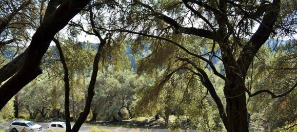 14530m² Hotel in Corfu, Greece No. 4108 18