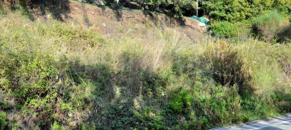 14530m² Hotel in Corfu, Greece No. 4108 9