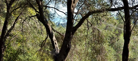 14530m² Hotel in Corfu, Greece No. 4108 17