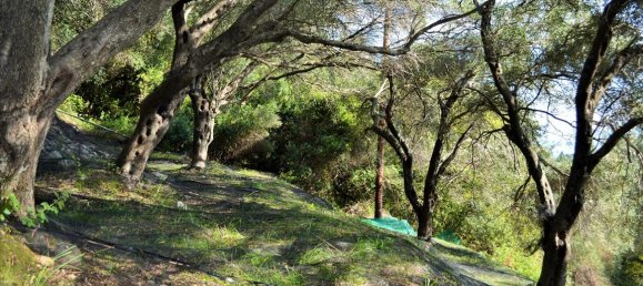  فندق في Corfu, Greece 14530متر مربع رقم 4108 6