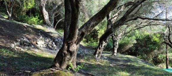  فندق في Corfu, Greece 14530متر مربع رقم 4108 16