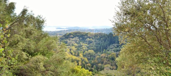  فندق في Corfu, Greece 14530متر مربع رقم 4108 19