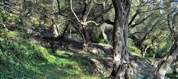 14530m² Hotel in Corfu, Greece No. 4108 8