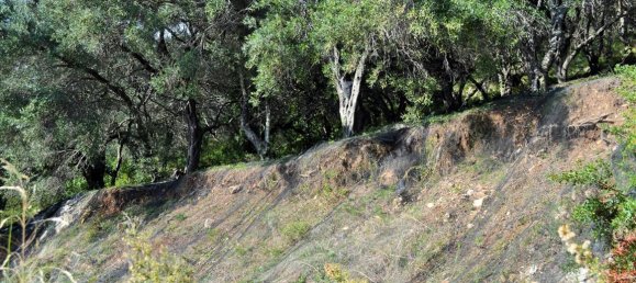 14530m² Hotel in Corfu, Greece No. 4108 13