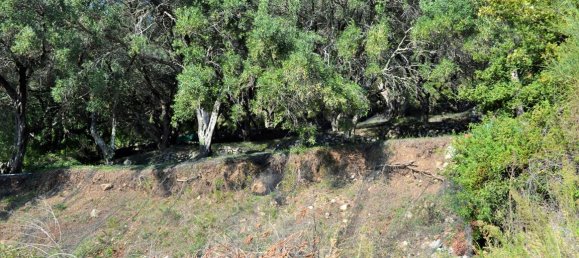 14530m² Hotel in Corfu, Greece No. 4108 12