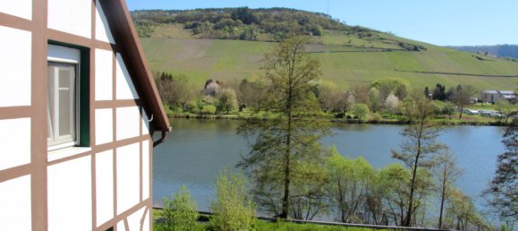 12غرفة مزرعة في Bernkastel-Wittlich, Germany رقم 272509 2