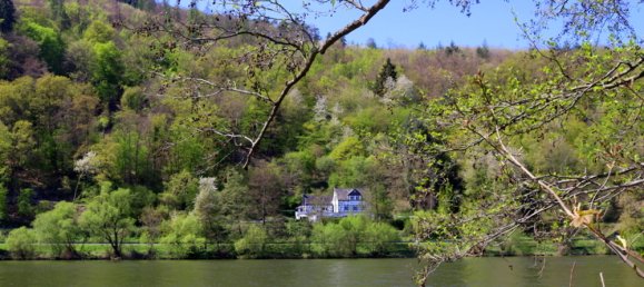 12غرفة مزرعة في Bernkastel-Wittlich, Germany رقم 272509 8