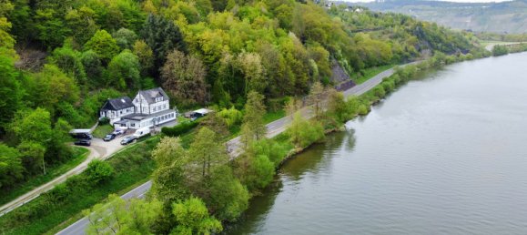12غرفة مزرعة في Bernkastel-Wittlich, Germany رقم 272509 47
