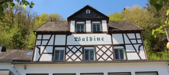 12غرفة مزرعة في Bernkastel-Wittlich, Germany رقم 272509 5