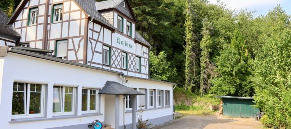 12غرفة مزرعة في Bernkastel-Wittlich, Germany رقم 272509 43