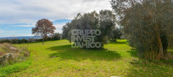 15 Schlafzimmer Haus in Martina Franca, Italy, Nr. 79685 27