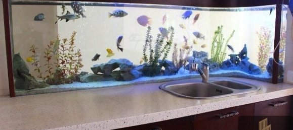 4 Schlafzimmer Wohnung in Baku, Azerbaijan, Nr. 2040 37