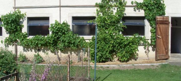 12غرفة منزل في Uffenheim, Germany رقم 82336 26