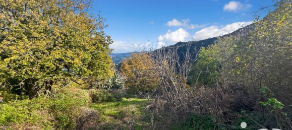  قطعة أرض في Santo-Pietro-di-Tenda, France 842متر مربع رقم 44219 22