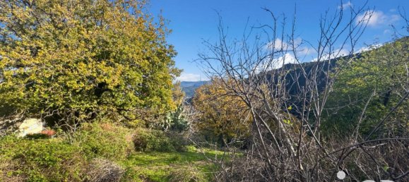  قطعة أرض في Santo-Pietro-di-Tenda, France 842متر مربع رقم 44219 4