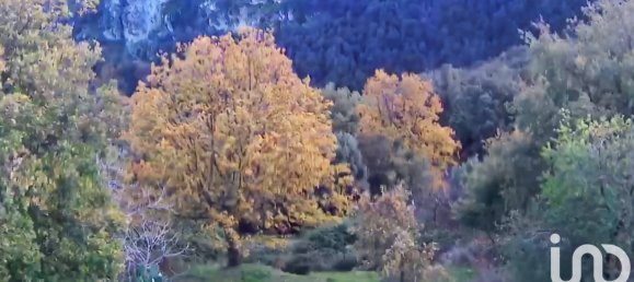  قطعة أرض في Santo-Pietro-di-Tenda, France 842متر مربع رقم 44219 11