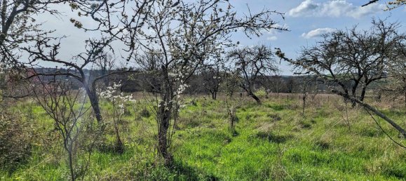  Land in Clamecy, France No. 268676 5