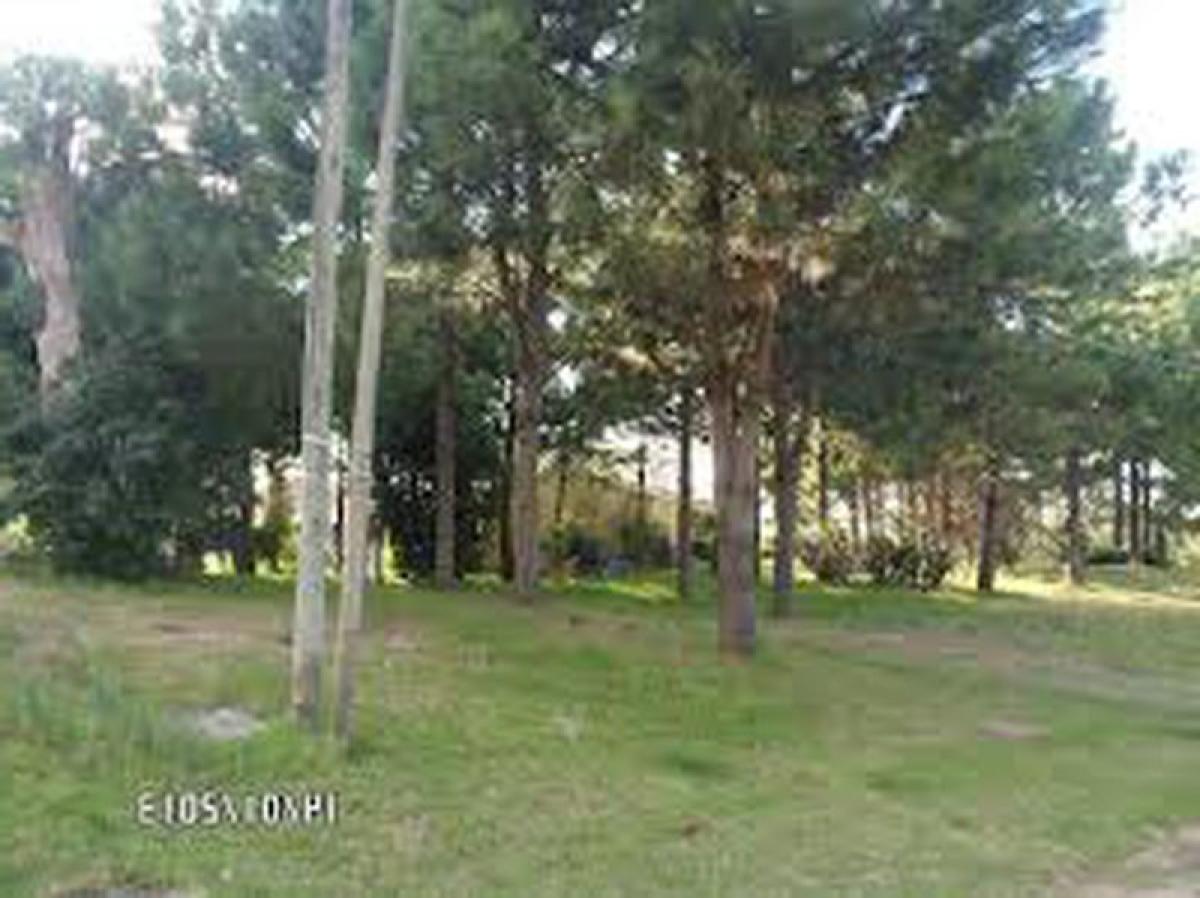  Land in Maldonado, Uruguay No. 16132